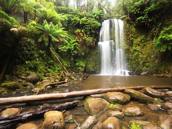 democratunity | Erskine Falls: Cascading Beauty in the Otways