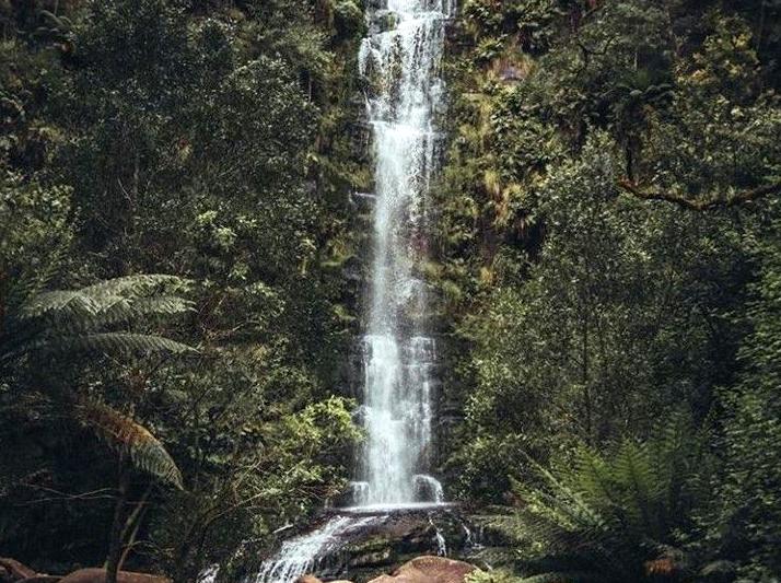 democratunity | Erskine Falls: Cascading Beauty in the Otways