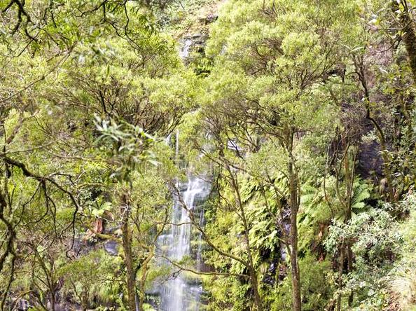 democratunity | Erskine Falls: Cascading Beauty in the Otways