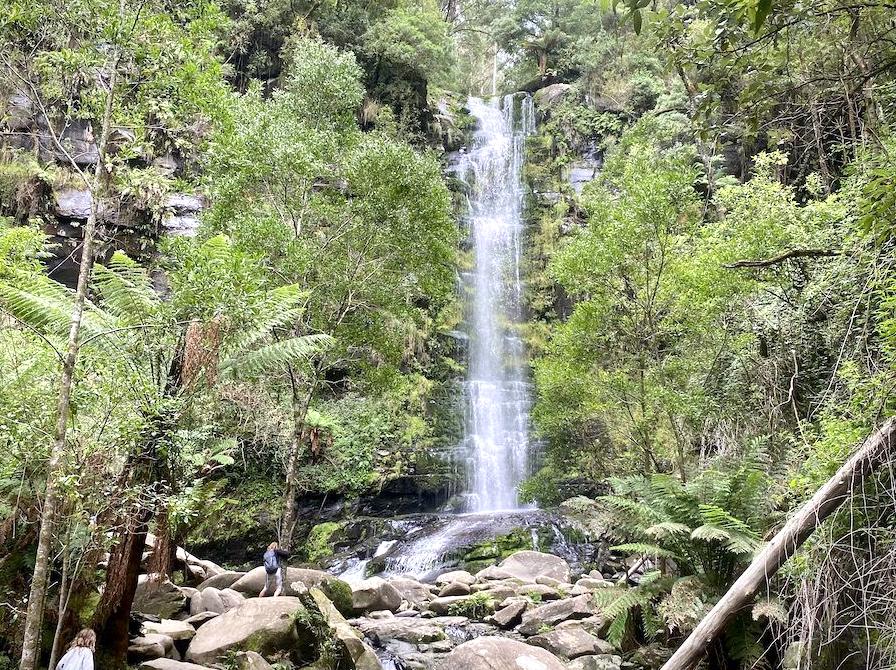 democratunity | Erskine Falls: Cascading Beauty in the Otways