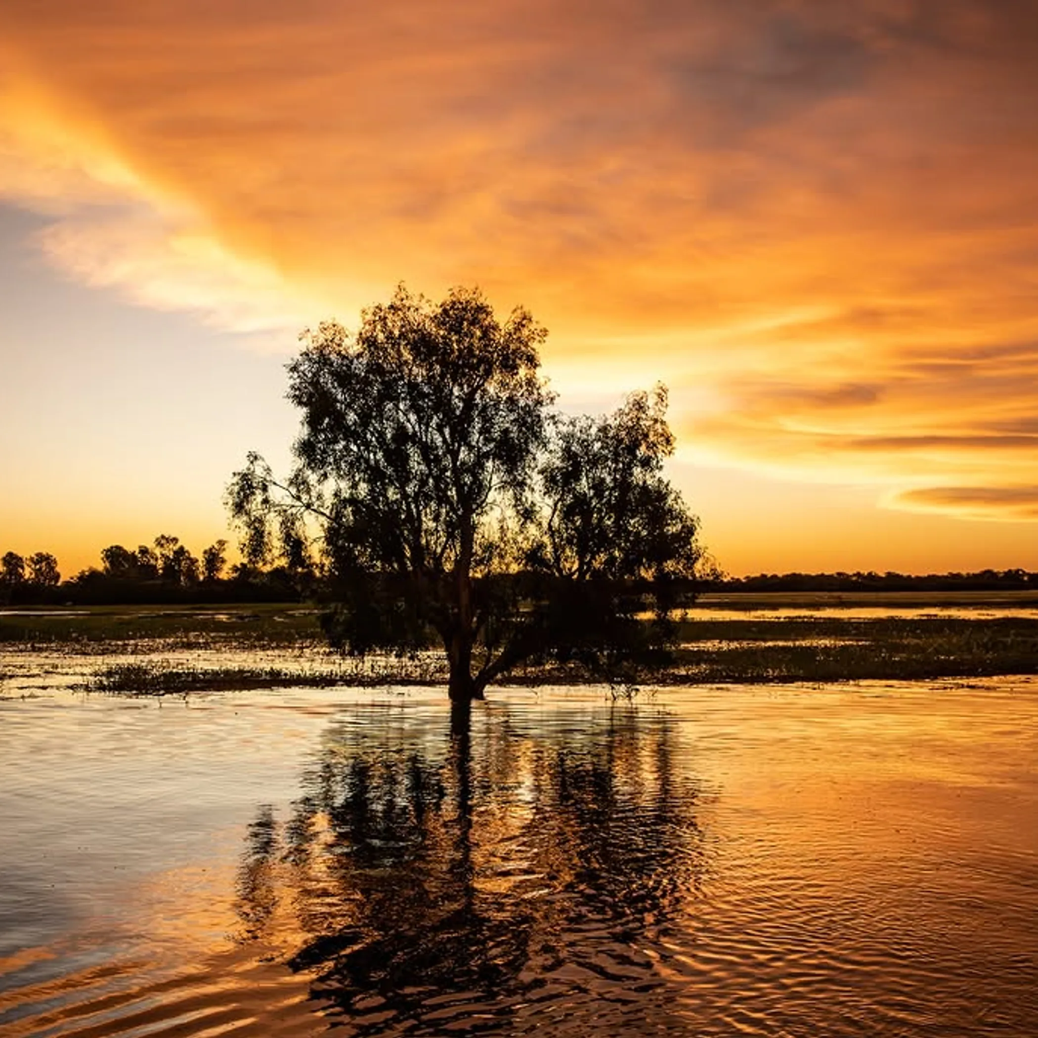 kakadu landscape with wet and dry areas