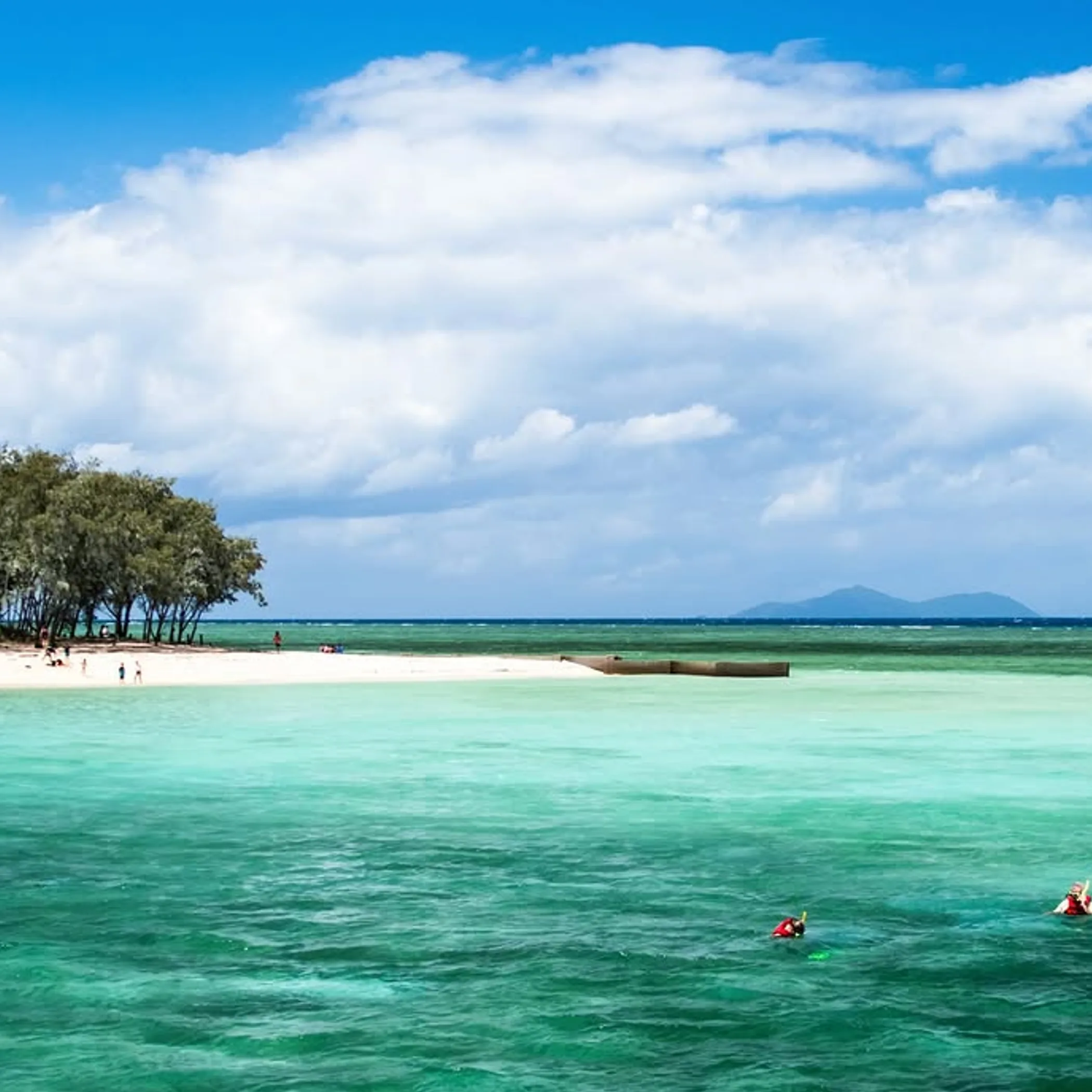 tropical reef waters and swimmers